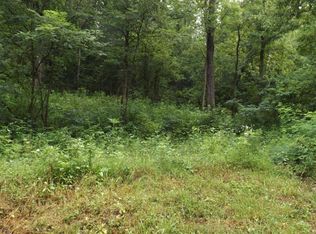 Shaw Hollow Rd, New tazewell, TN 37825