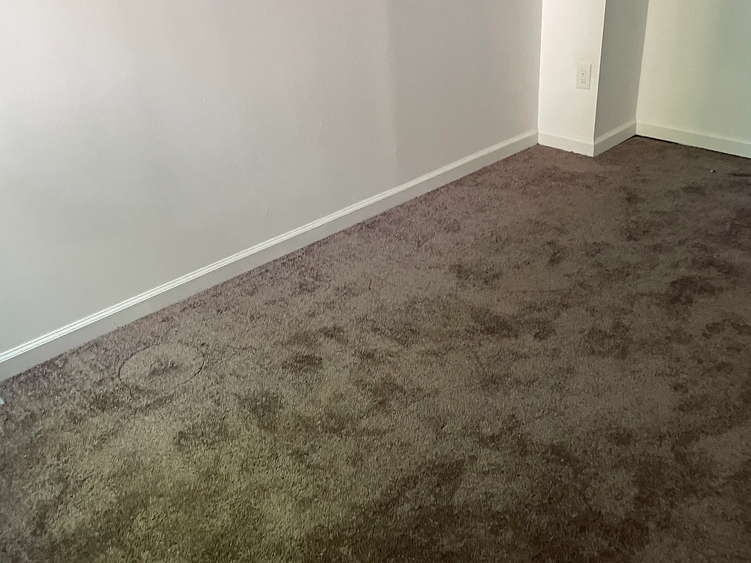 3 bed, 1150 sqft, $1,850 — Photo 4