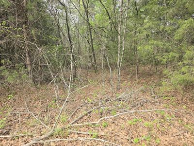 0 Daniel St, Cherokee, AL, 35616