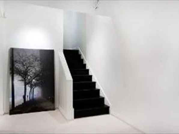 1009 N Dearborn St, Chicago, IL 60610