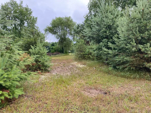 4th Street Clinton, Bear Lake, MI 49614