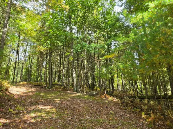 LOT 6.17 State Rte #Rt97, Narrowsburg, NY 12764