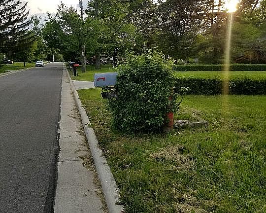 3rd image of 230 Lincoln St