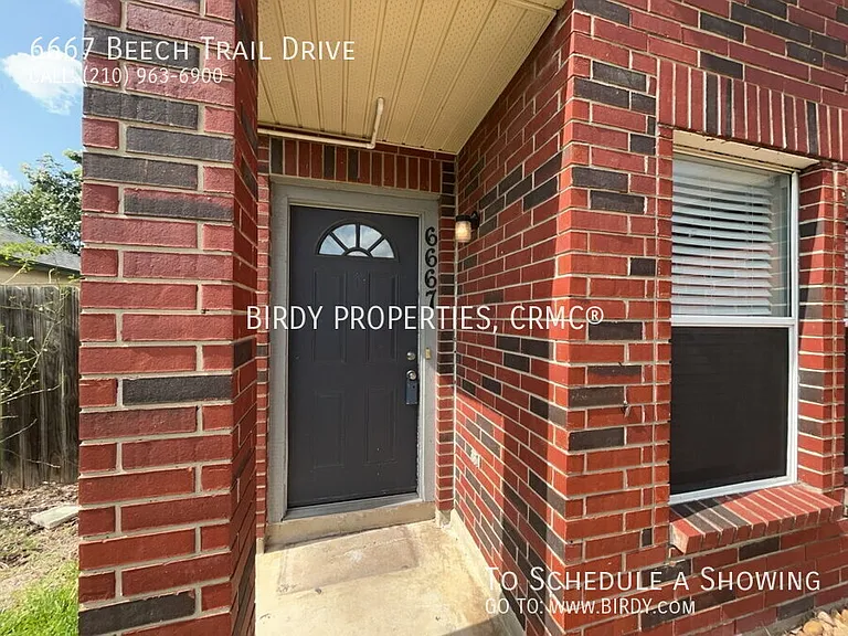 6667 Beech Trail Dr — Photo 36