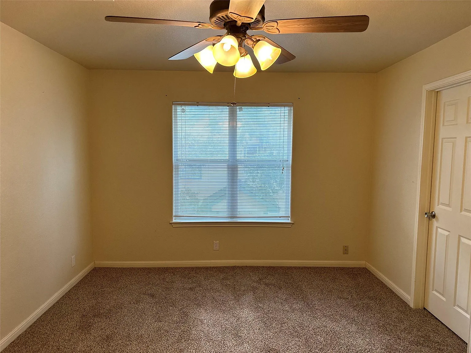 1 bed, 1.5 bath, 16462 sqft, $1,000 — Photo 3