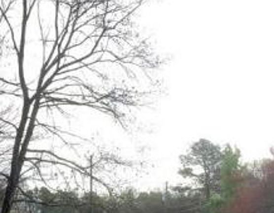 Exterior Neighborhood (street photo)