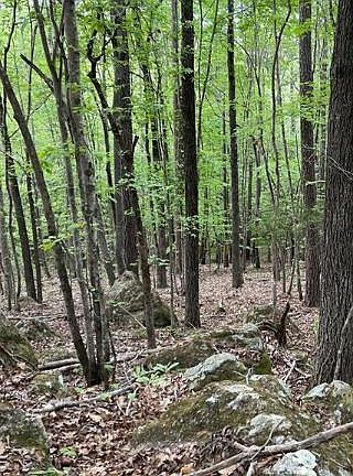 4th image of 0 C.E. Norman Road