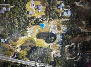 Doyle Rd, Osteen, FL 32764