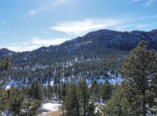 397 Fawn Rd, Florissant, CO 80816