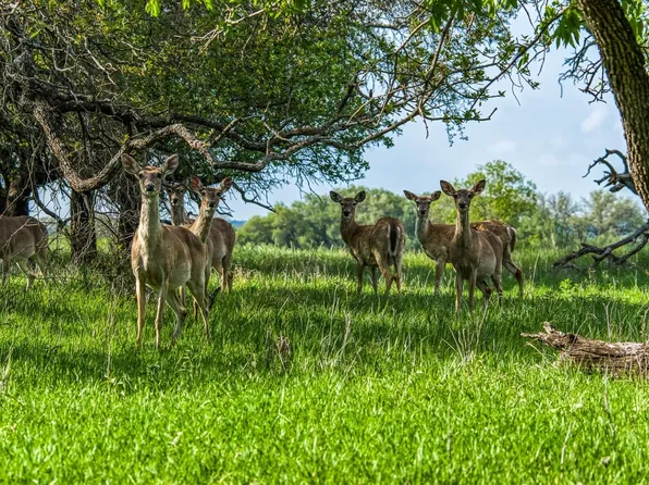 171 E County Road 333, Goldthwaite, TX 76844