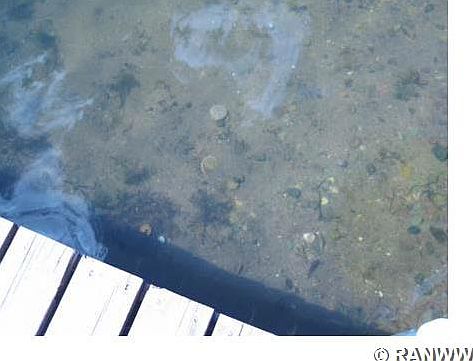 2nd image of W8483 Peninsula Road