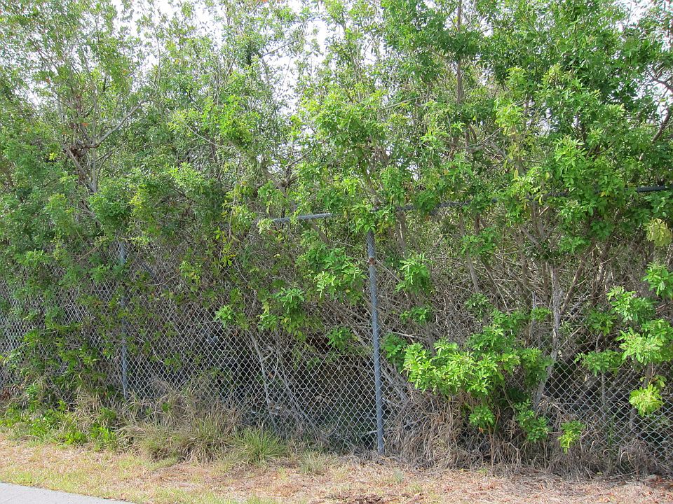 1st image of Canal Dr