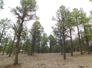 S2 Leon Dr, Quemado, NM 87829