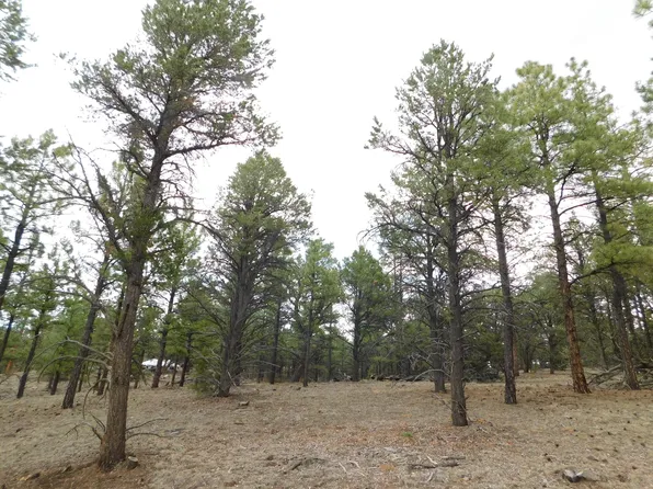 S2 Leon Dr, Quemado, NM 87829
