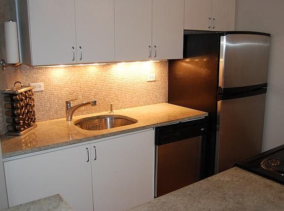 4th image of 621 S Plymouth Ct APT 205