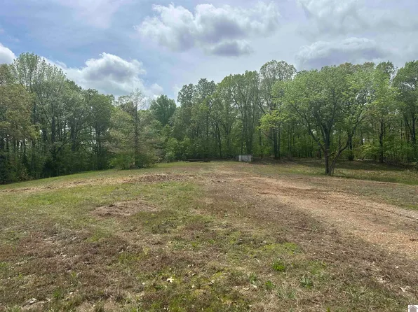 665 Goodwin Dr, Dexter, KY 42036