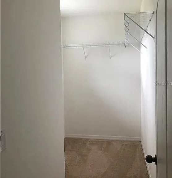 15031 Black Scoter Dr — Photo 11