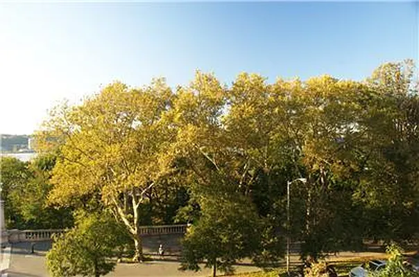 Sold by Michel Madie Real Estate Services | media 1