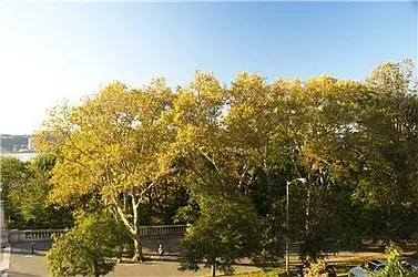 Sold by Michel Madie Real Estate Services