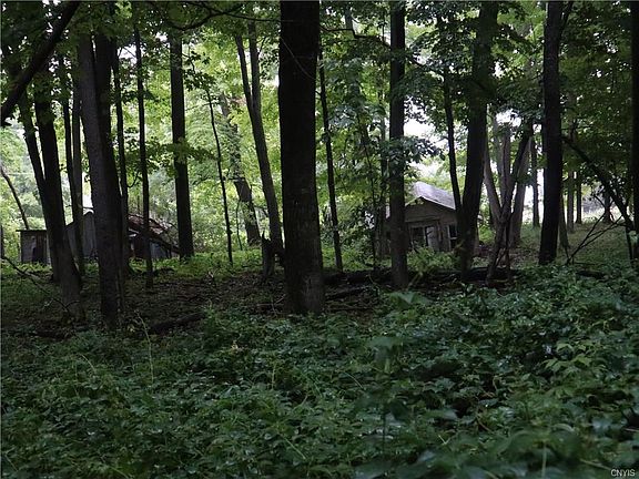 3rd image of 7249 Eggleston Ln