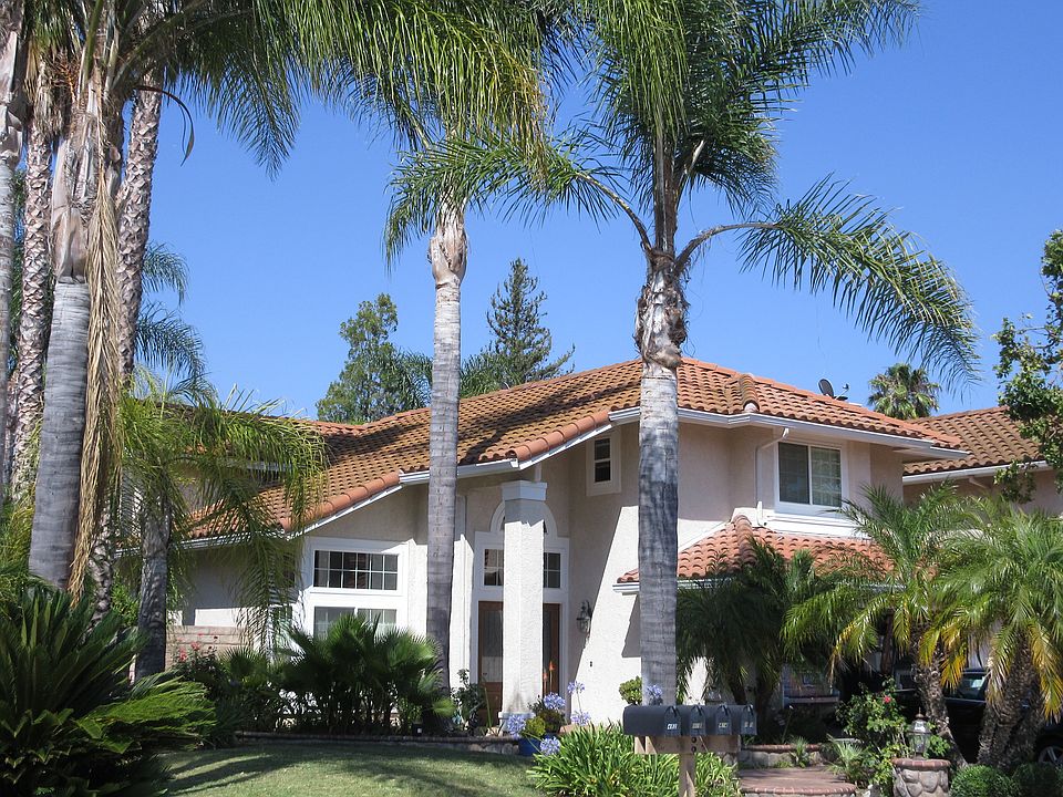 House of Palms!