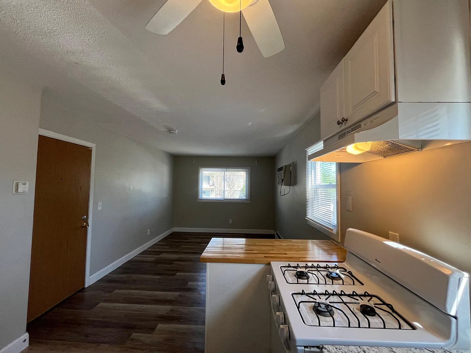 1 bed, $1,000 — Photo 2