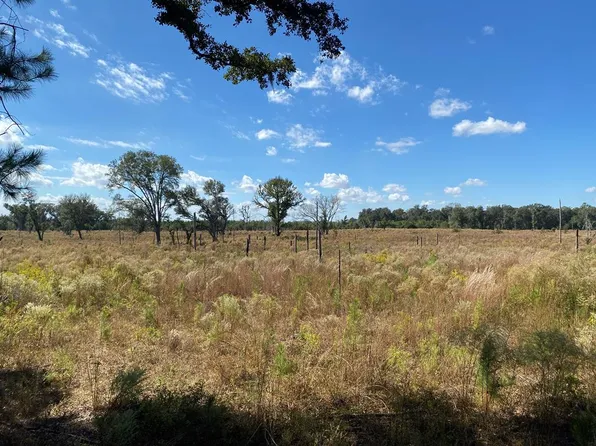 42.876 Ac Granger Rd, Cottonwood, AL 36320