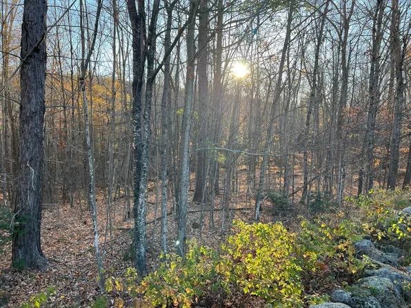 0 Old County Lane, Woodstock, ME 04219