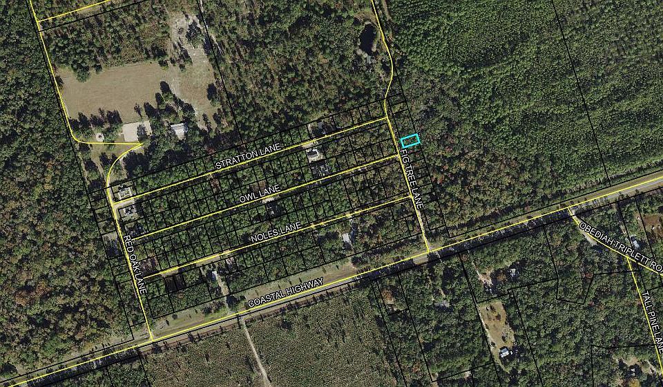 2nd image of 11 Fig Tree Ln