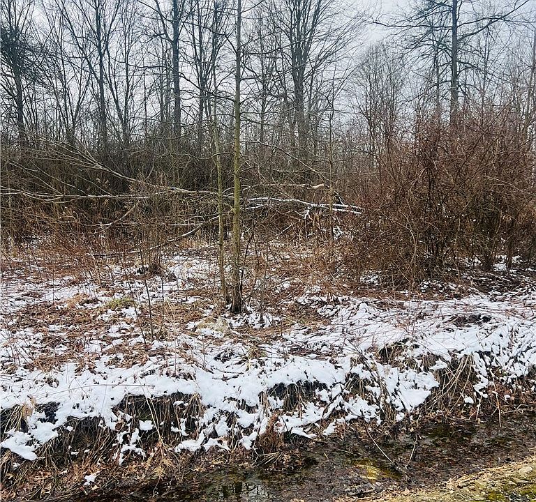 2nd image of LOT 134 Breezewood Ln