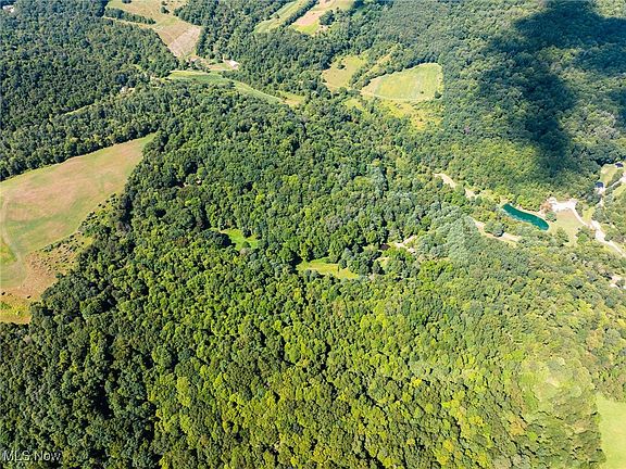 2nd image of 30733 County Road 401
