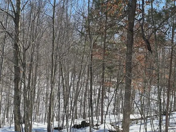 Lots 10 & 11 Wintergreen Trail, Danbury, WI 54830