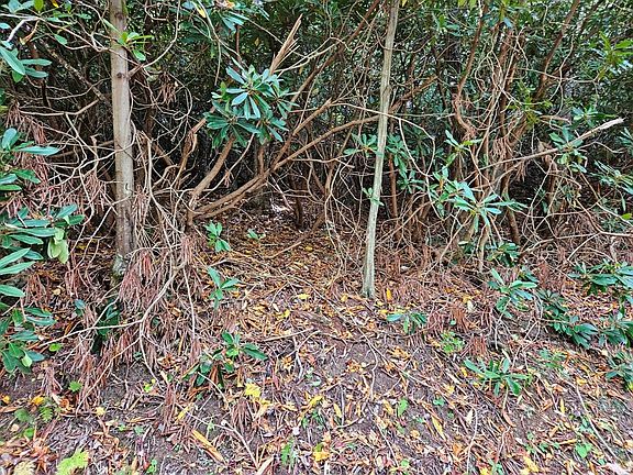 5th image of Pennington Branch Rd Lot 14B