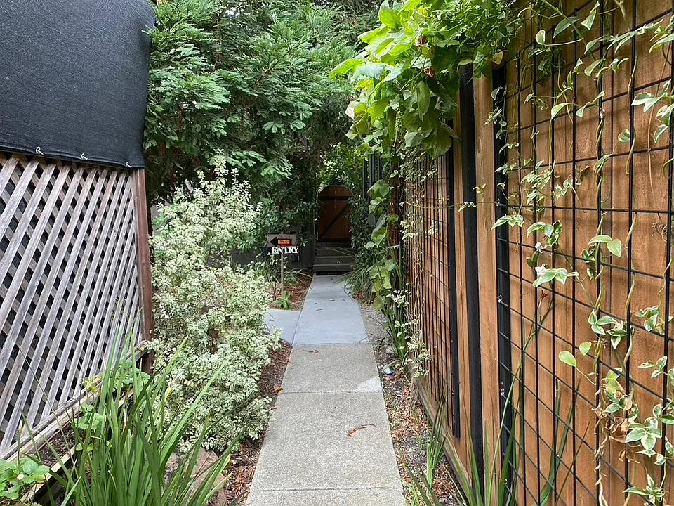 Walk path back to the cottage from the driveway