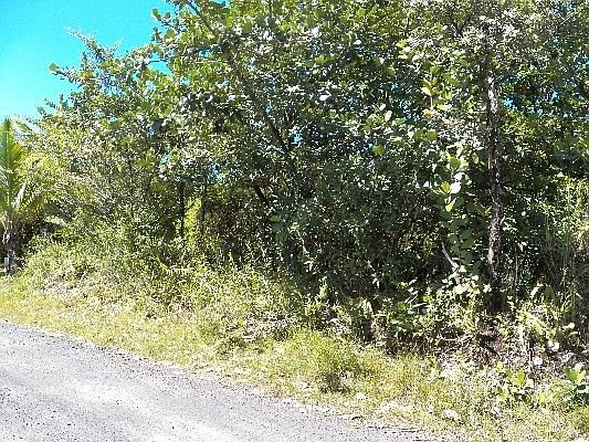 4th image of 1st Ave Lot 2924