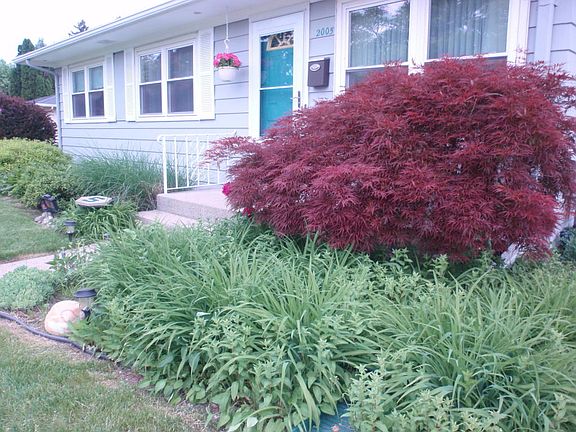 3rd image of 2005 Berkshire Dr