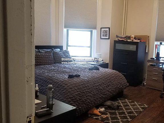 196 Saint Botolph #1a Boston - Back Bay Unit Photo 4