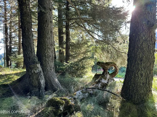 L5-B8 Anderson Way, Seldovia, AK 99663