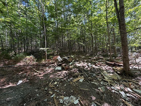 5th image of Map 9 Lot 16-10 Clark Richardson Road