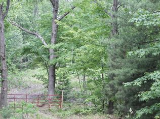 5145 Rocky Top Ln, Pierson, MI 49339