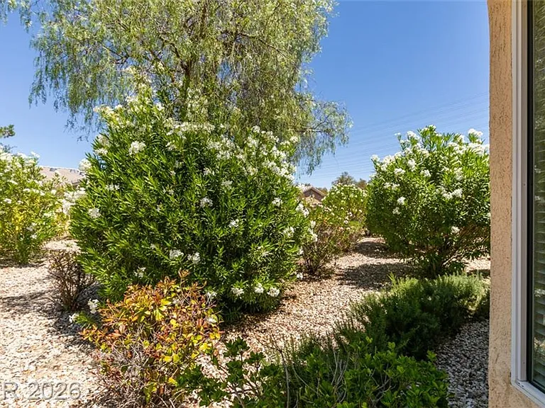 10228 Questa Sera Ct — Photo 41