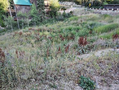 229 Parkview Dr, Park City, UT, 84098