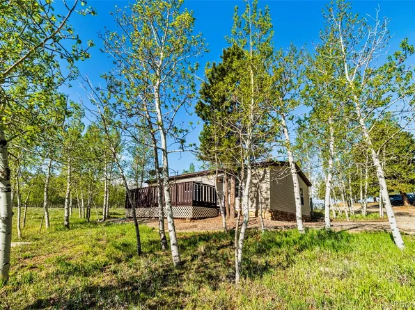 152 Wagon Wheel Road, Hartsel, CO 80449