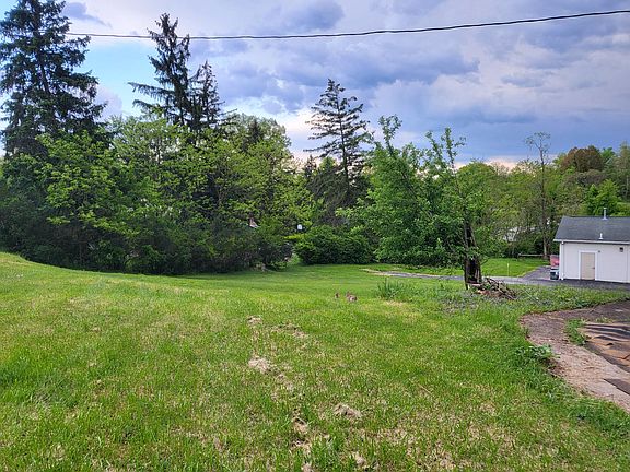 Back yard. Please excuse the bunnies in the picture :)