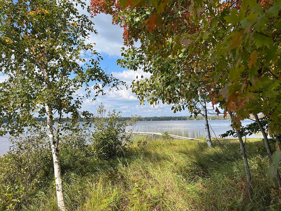 LOT 77 W Birch Shores Dr, Trout Lake, MI 49793 Zillow