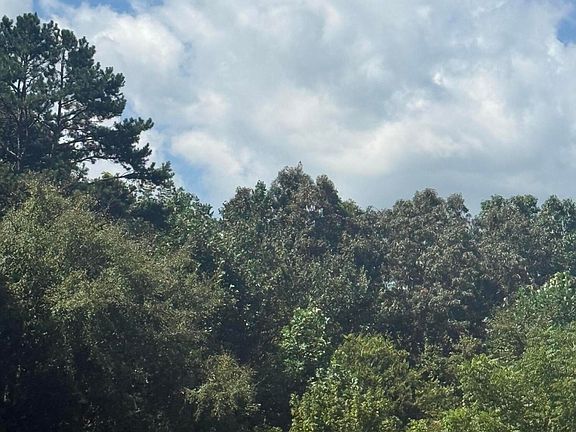 3rd image of 0 Rock Hill Rd