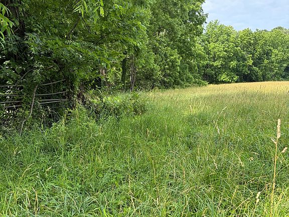 4th image of 33897 Jim Town Hollow Rd