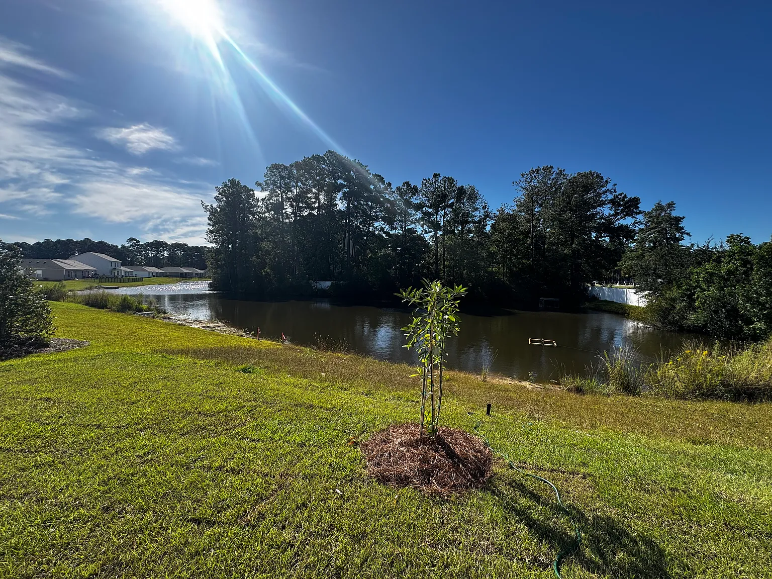 4 bed, 2340 sqft, $3,000 — Photo 3