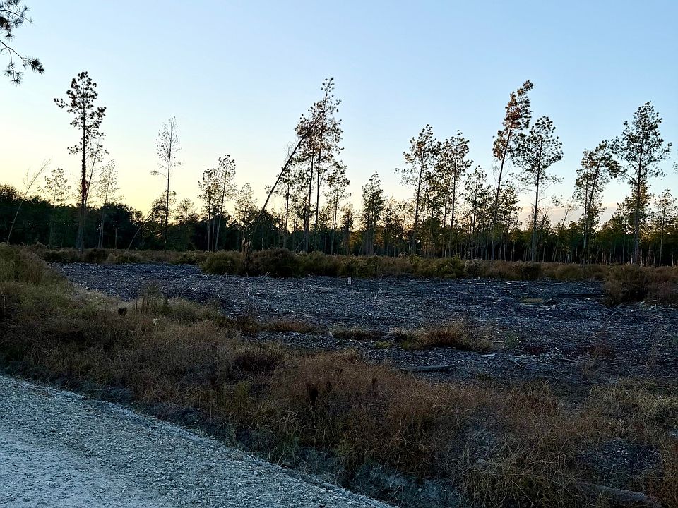 2nd image of Nat Rd #4