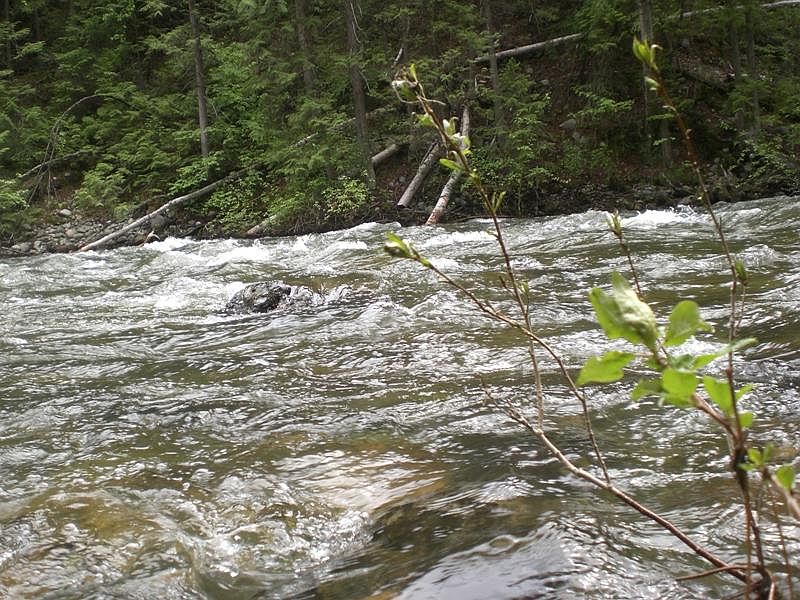 2nd image of 25 X Hwy